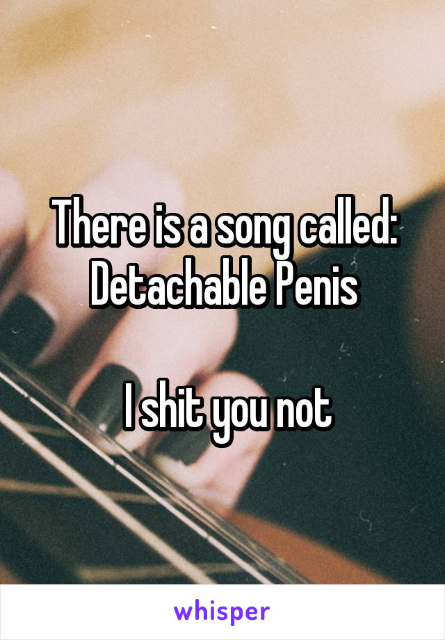 There is a song called:
Detachable Penis

 I shit you not