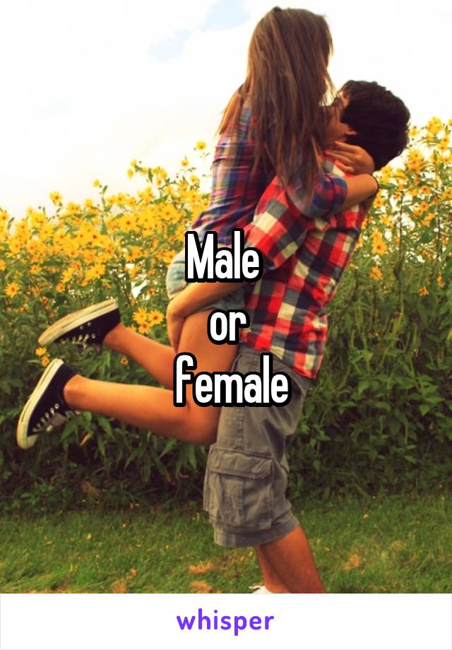 Male 
or
 female