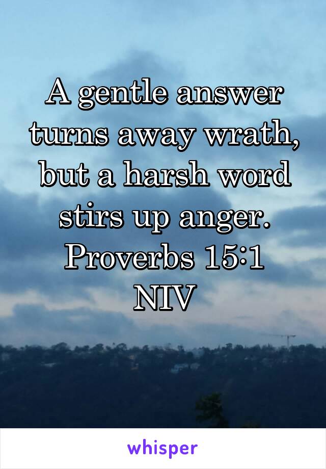 A gentle answer turns away wrath, but a harsh word stirs up anger.
Proverbs 15:1 NIV

                     