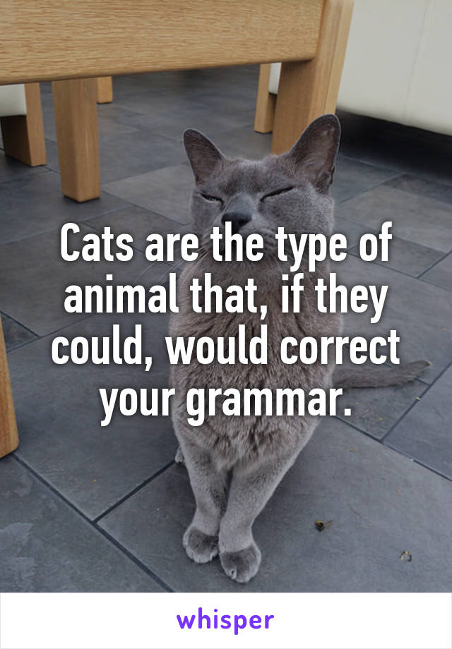 Cats are the type of animal that, if they could, would correct your grammar.