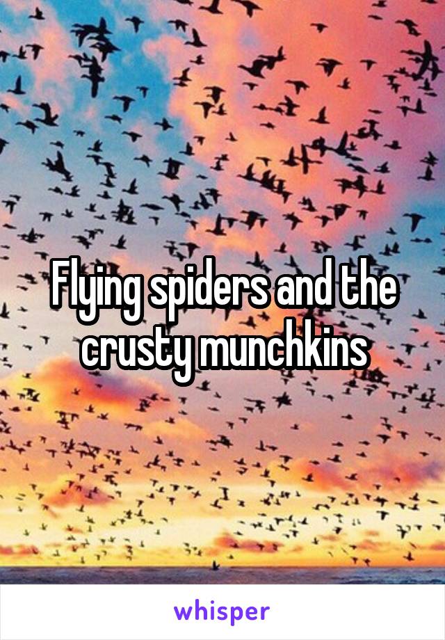 Flying spiders and the crusty munchkins