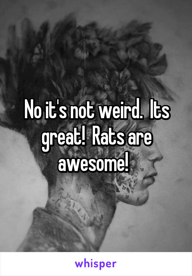 No it's not weird.  Its great!  Rats are awesome!  