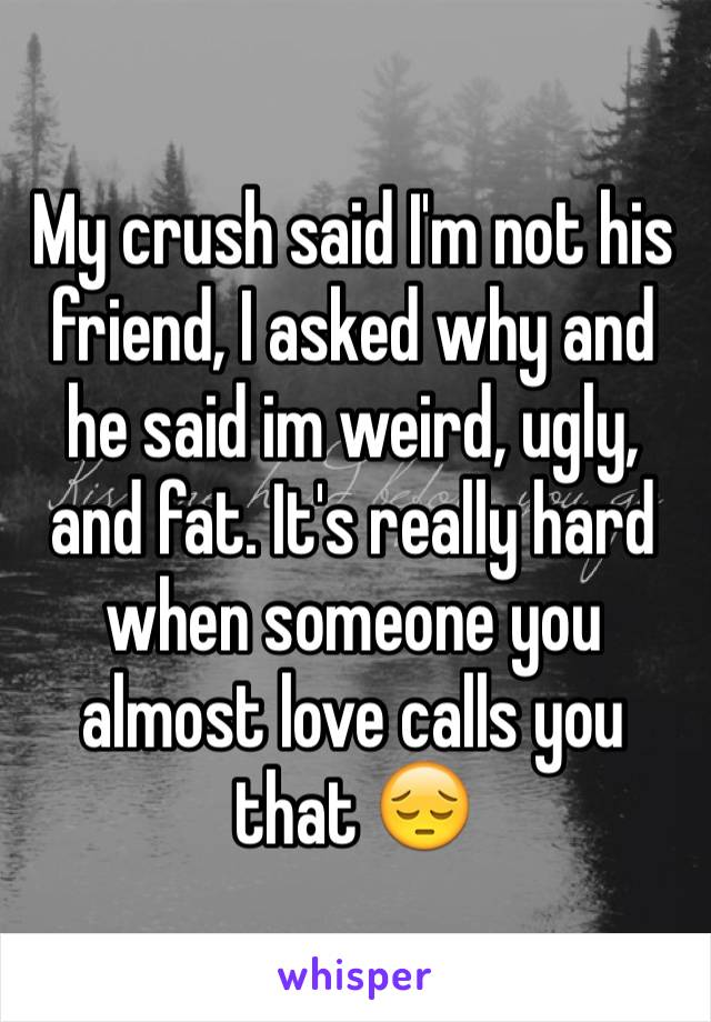 My crush said I'm not his friend, I asked why and he said im weird, ugly, and fat. It's really hard when someone you almost love calls you that 😔