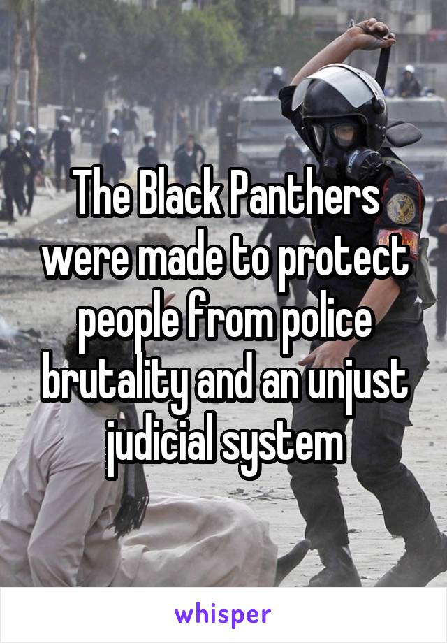 The Black Panthers were made to protect people from police brutality and an unjust judicial system