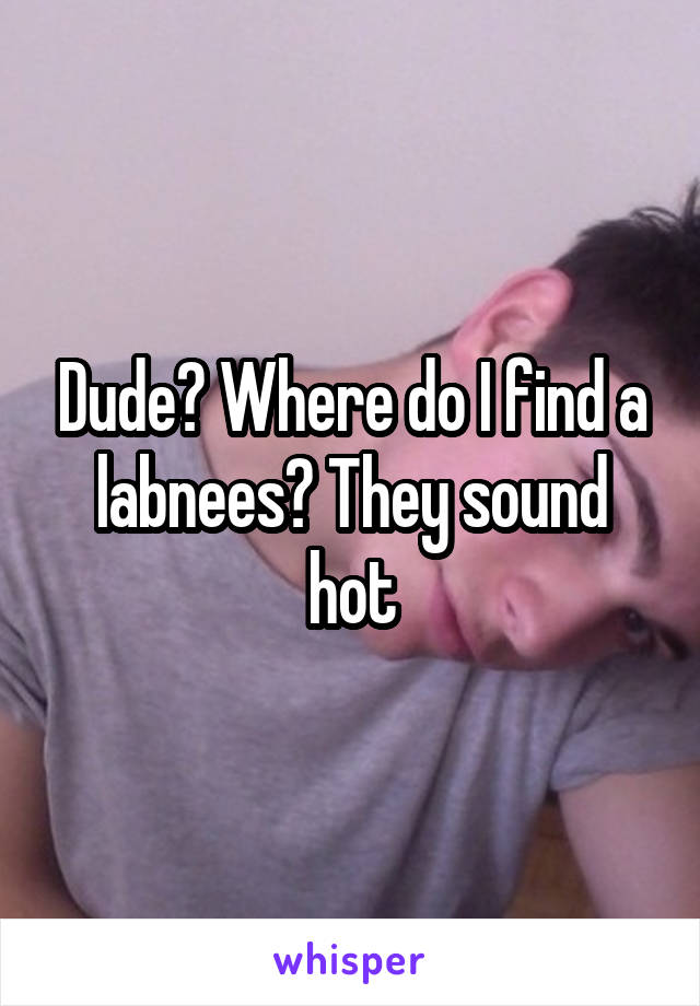 Dude? Where do I find a labnees? They sound hot