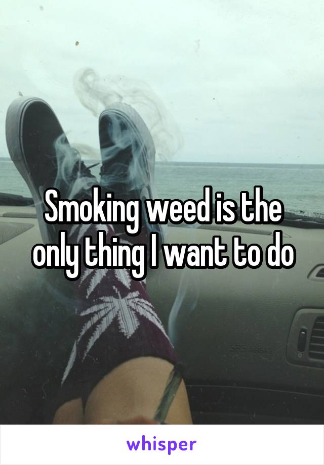 Smoking weed is the only thing I want to do