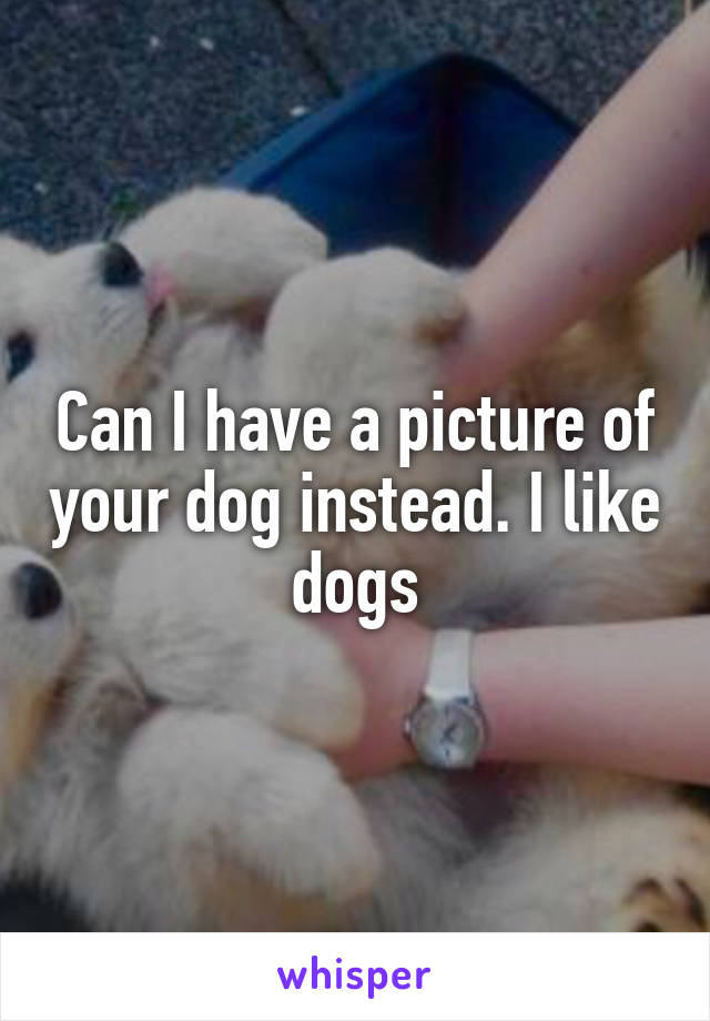 Can I have a picture of your dog instead. I like dogs