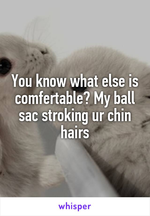 You know what else is comfertable? My ball sac stroking ur chin hairs