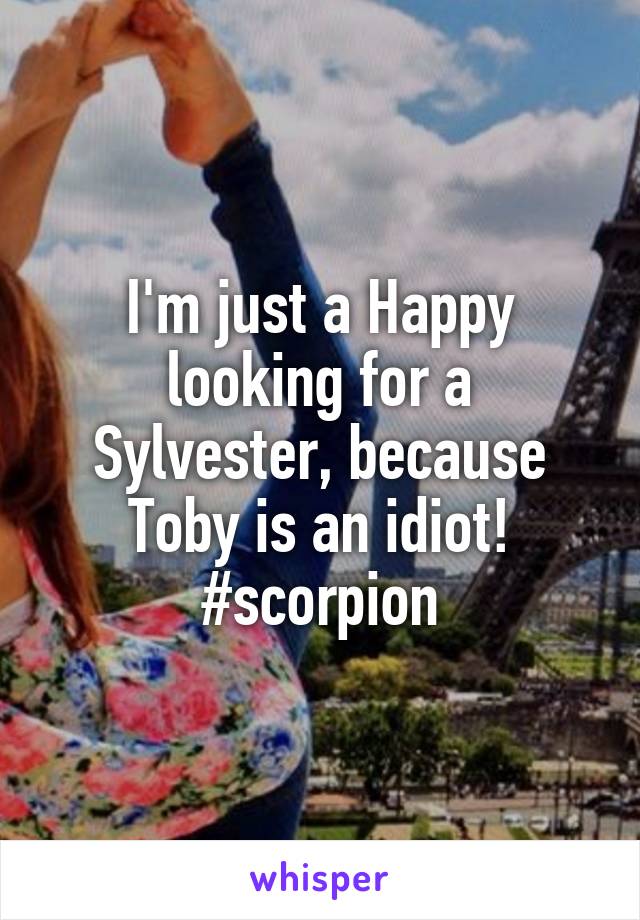 I'm just a Happy looking for a Sylvester, because Toby is an idiot! #scorpion