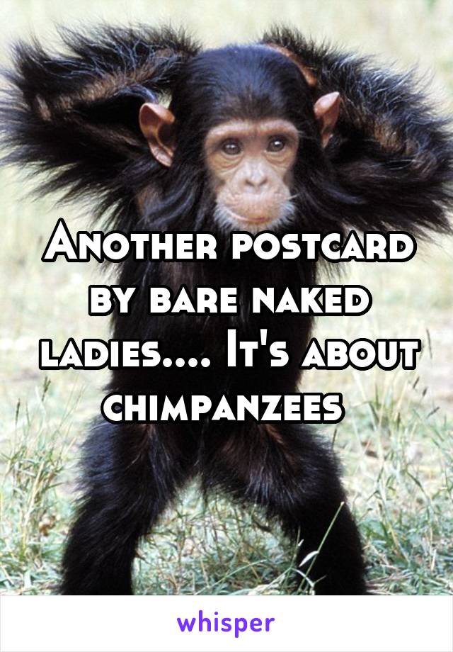 Another postcard by bare naked ladies.... It's about chimpanzees 