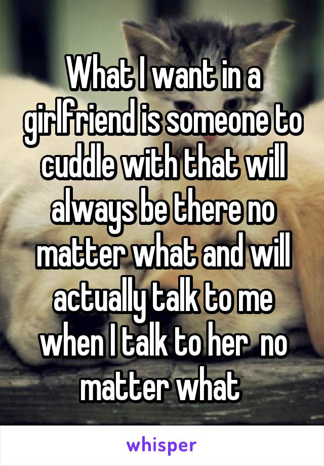 What I want in a girlfriend is someone to cuddle with that will always be there no matter what and will actually talk to me when I talk to her  no matter what 