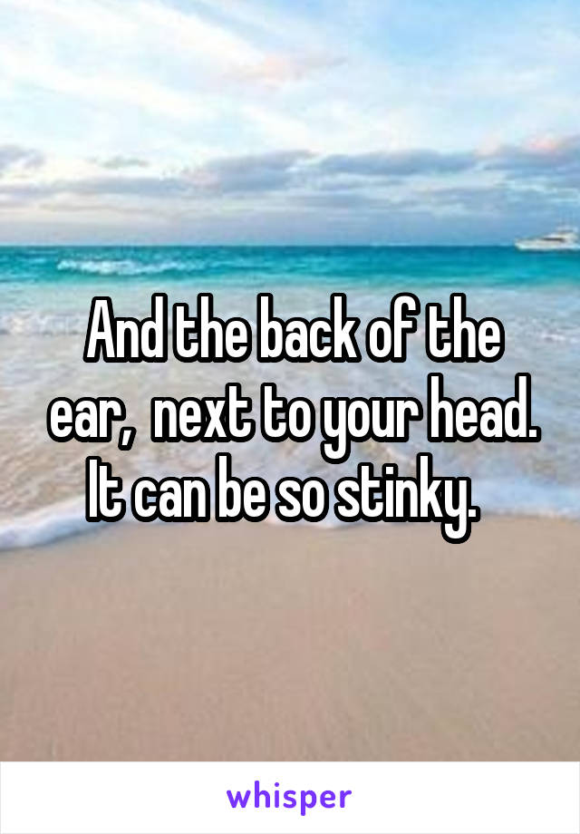 And the back of the ear,  next to your head. It can be so stinky.  