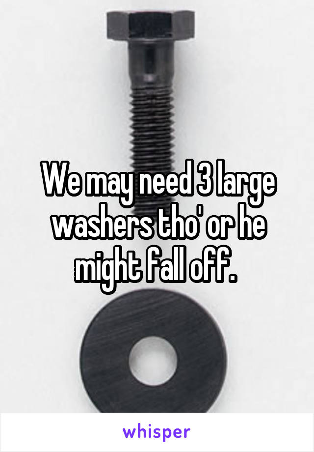 We may need 3 large washers tho' or he might fall off. 