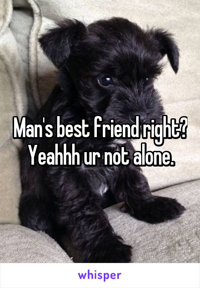 Man's best friend right? Yeahhh ur not alone.