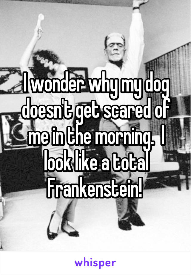 I wonder why my dog doesn't get scared of me in the morning.  I look like a total Frankenstein! 