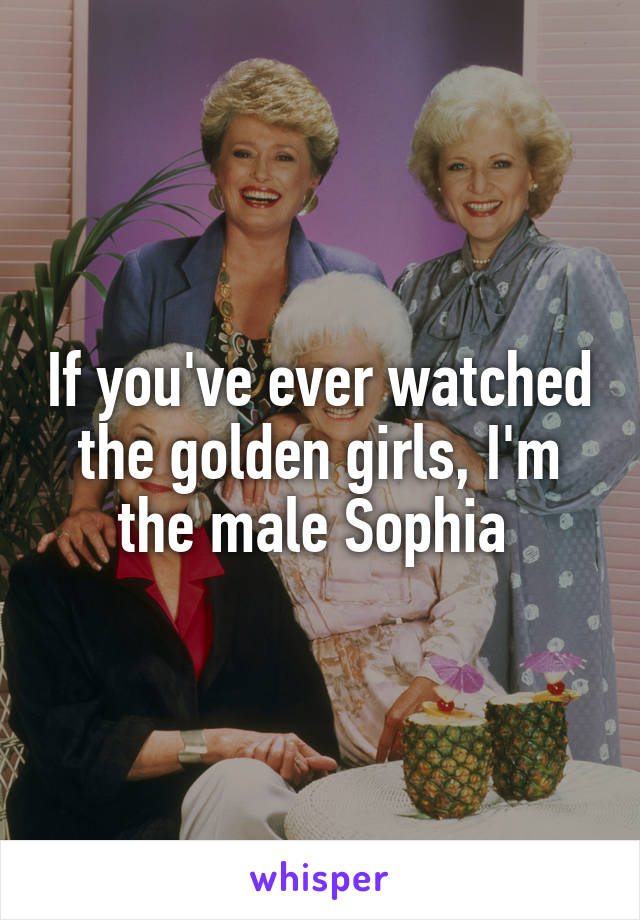 If you've ever watched the golden girls, I'm the male Sophia 