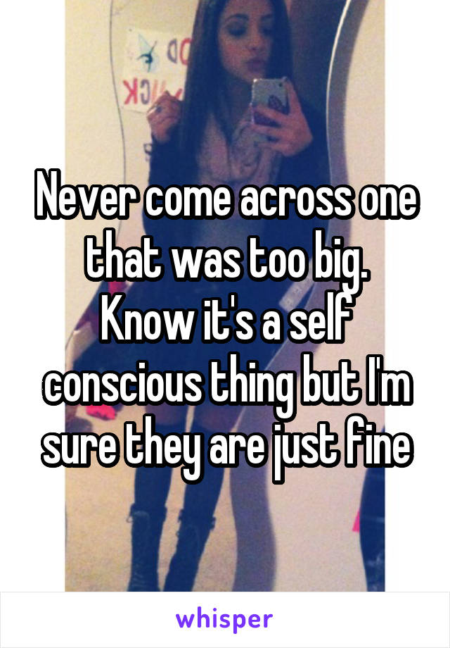 Never come across one that was too big.
Know it's a self conscious thing but I'm sure they are just fine
