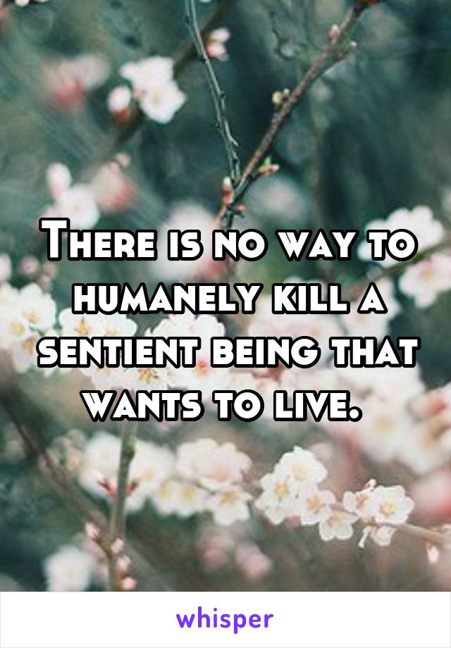 There is no way to humanely kill a sentient being that wants to live. 