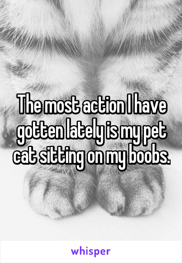 The most action I have gotten lately is my pet cat sitting on my boobs.