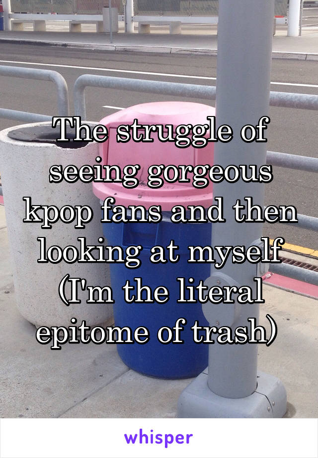 The struggle of seeing gorgeous kpop fans and then looking at myself (I'm the literal epitome of trash) 