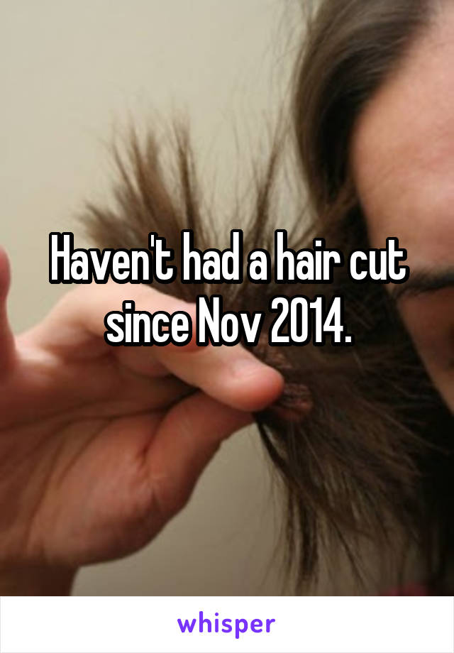 Haven't had a hair cut since Nov 2014.

