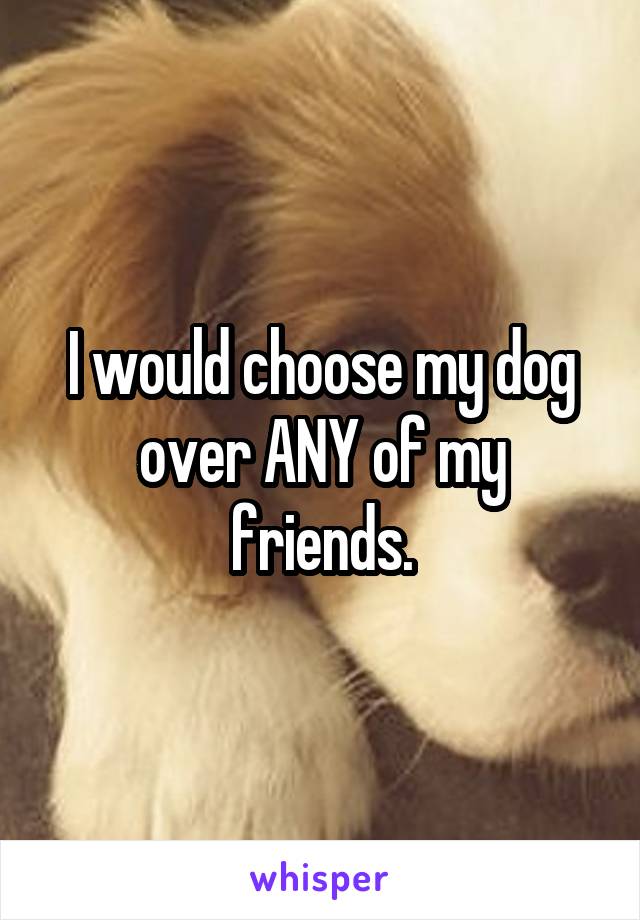 I would choose my dog over ANY of my friends.
