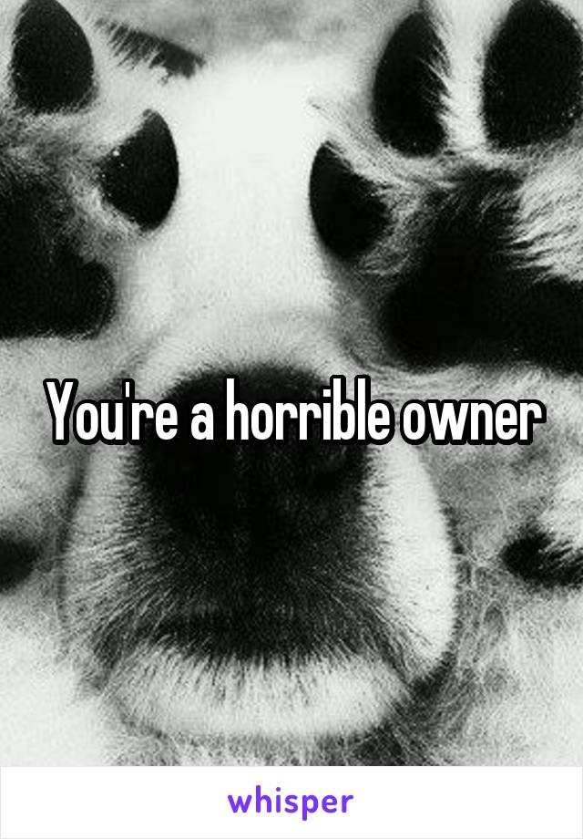 You're a horrible owner
