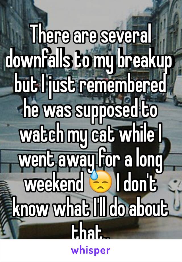 There are several downfalls to my breakup but I just remembered he was supposed to watch my cat while I went away for a long weekend 😓 I don't know what I'll do about that..