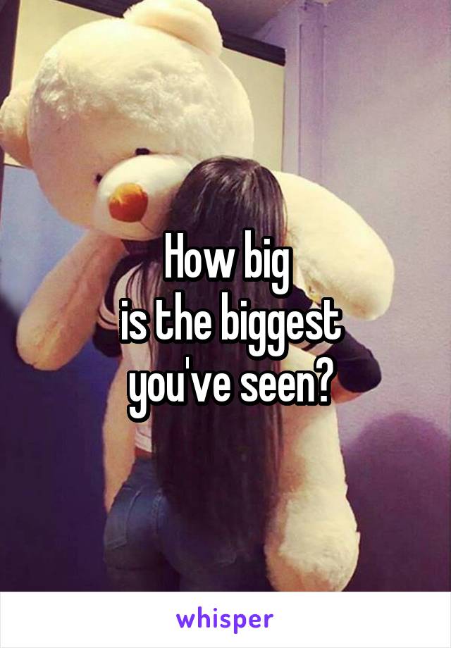 How big
 is the biggest
 you've seen?