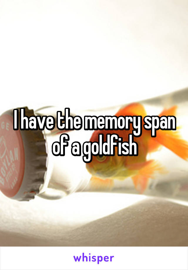 I have the memory span of a goldfish