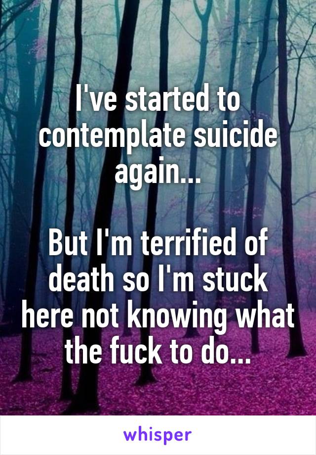 I've started to contemplate suicide again...

But I'm terrified of death so I'm stuck here not knowing what the fuck to do...