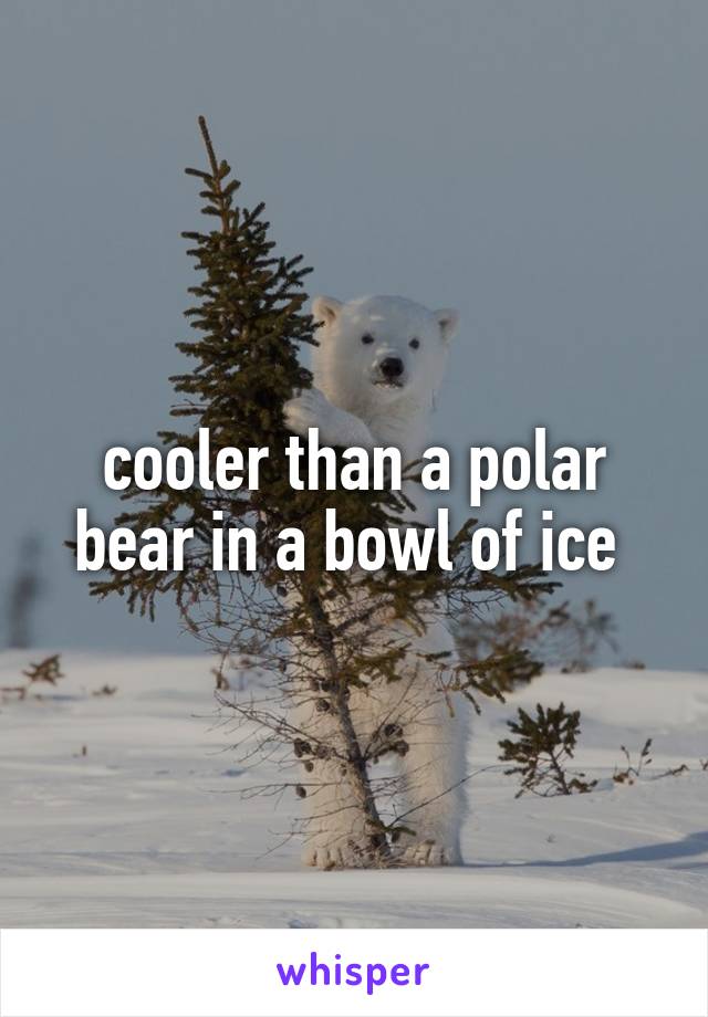 cooler than a polar bear in a bowl of ice 