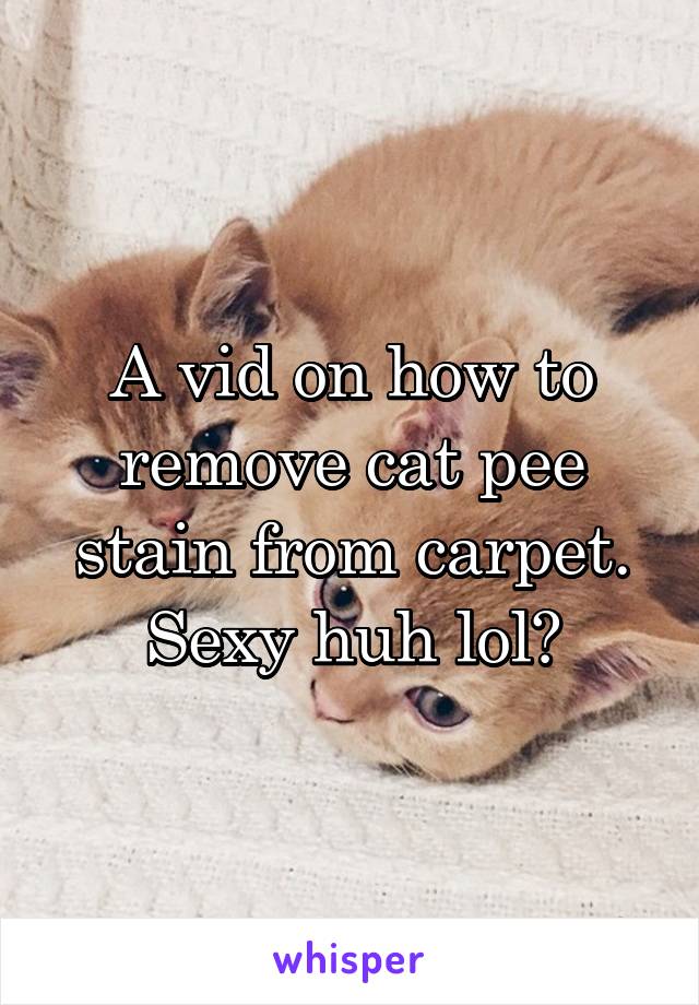 A vid on how to remove cat pee stain from carpet. Sexy huh lol?