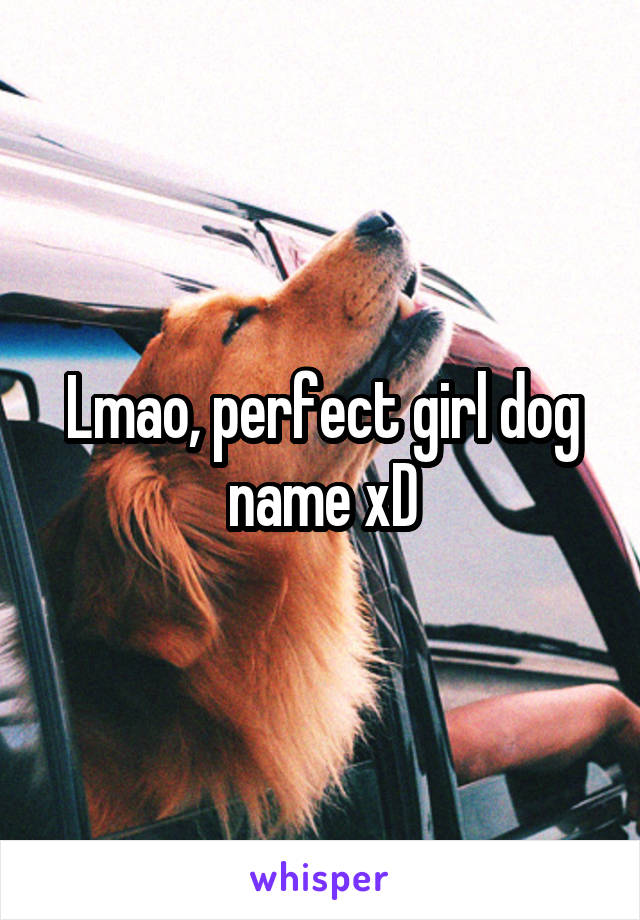 Lmao, perfect girl dog name xD