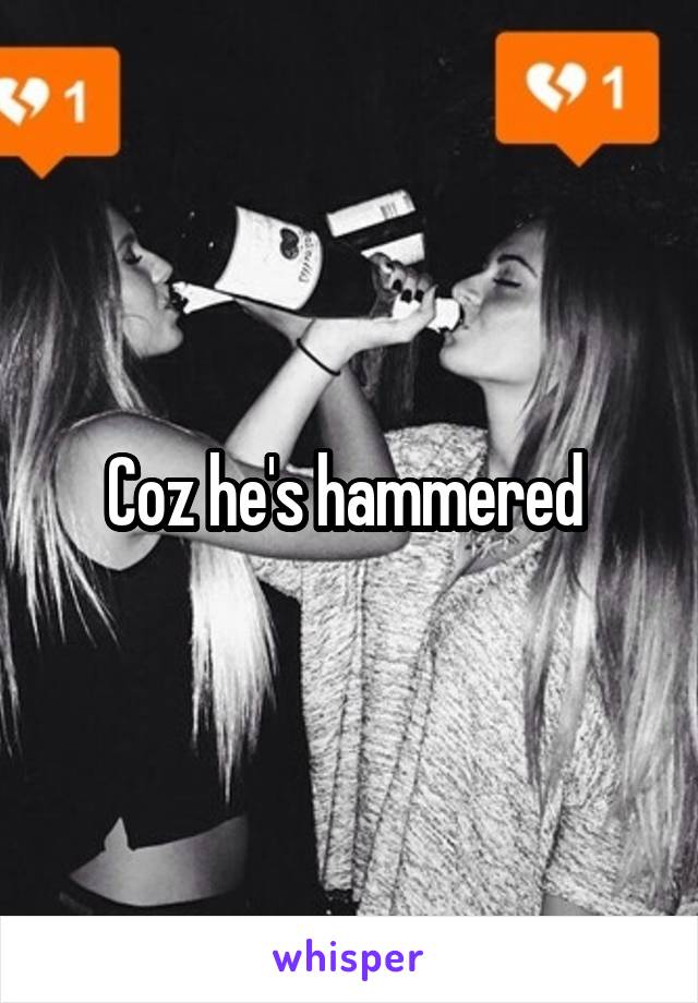 Coz he's hammered 