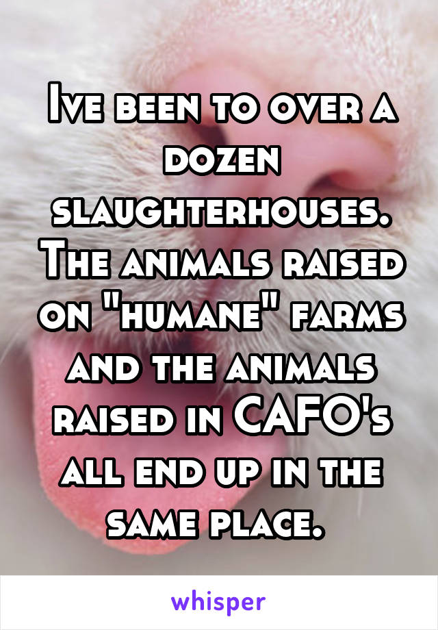 Ive been to over a dozen slaughterhouses. The animals raised on "humane" farms and the animals raised in CAFO's all end up in the same place. 