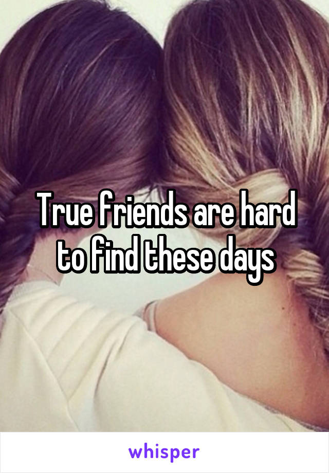 True friends are hard to find these days