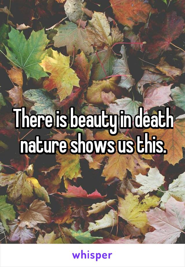 There is beauty in death nature shows us this.