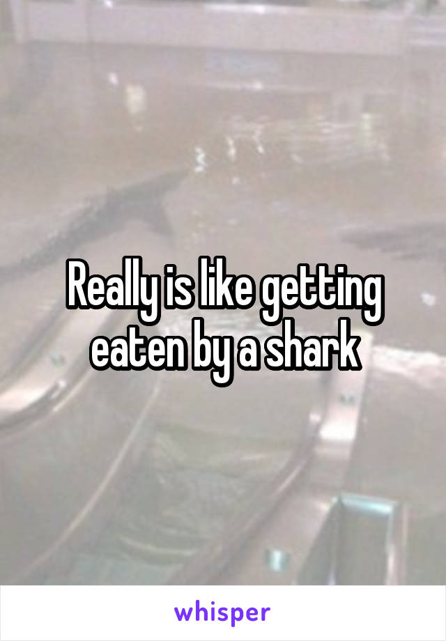 Really is like getting eaten by a shark