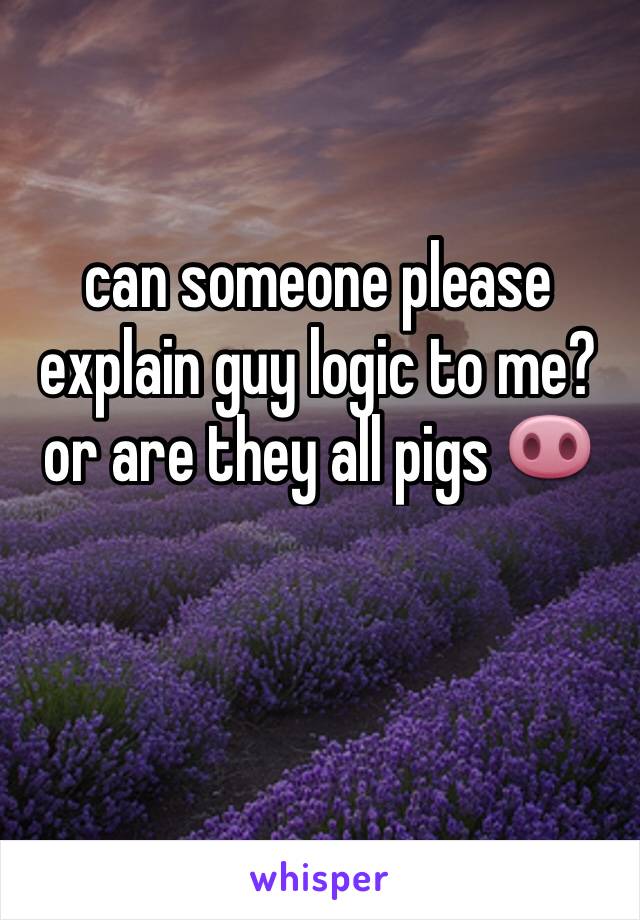 can someone please explain guy logic to me? or are they all pigs 🐽