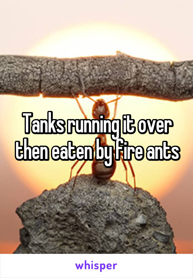 Tanks running it over then eaten by fire ants