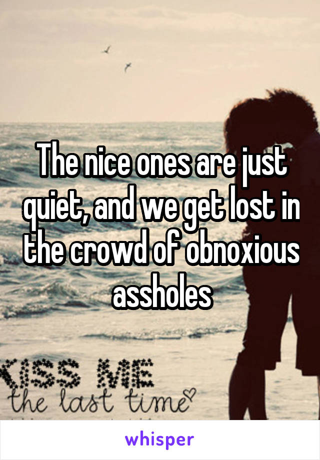 The nice ones are just quiet, and we get lost in the crowd of obnoxious assholes