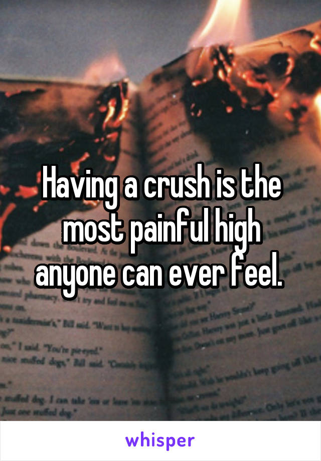 Having a crush is the most painful high anyone can ever feel. 