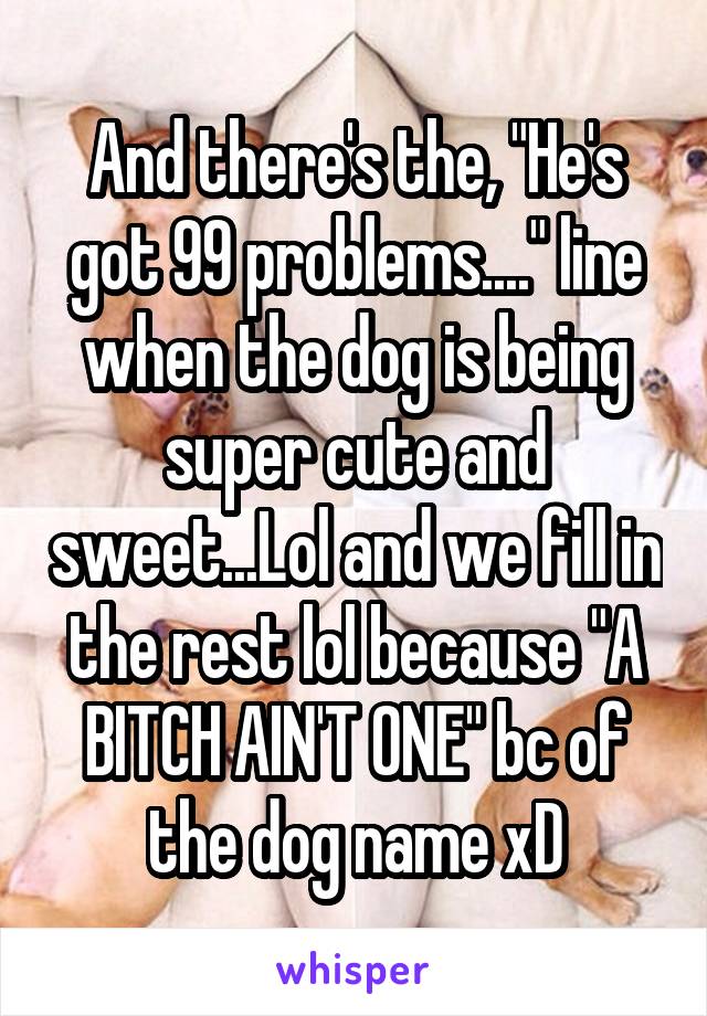 And there's the, "He's got 99 problems...." line when the dog is being super cute and sweet...Lol and we fill in the rest lol because "A BITCH AIN'T ONE" bc of the dog name xD