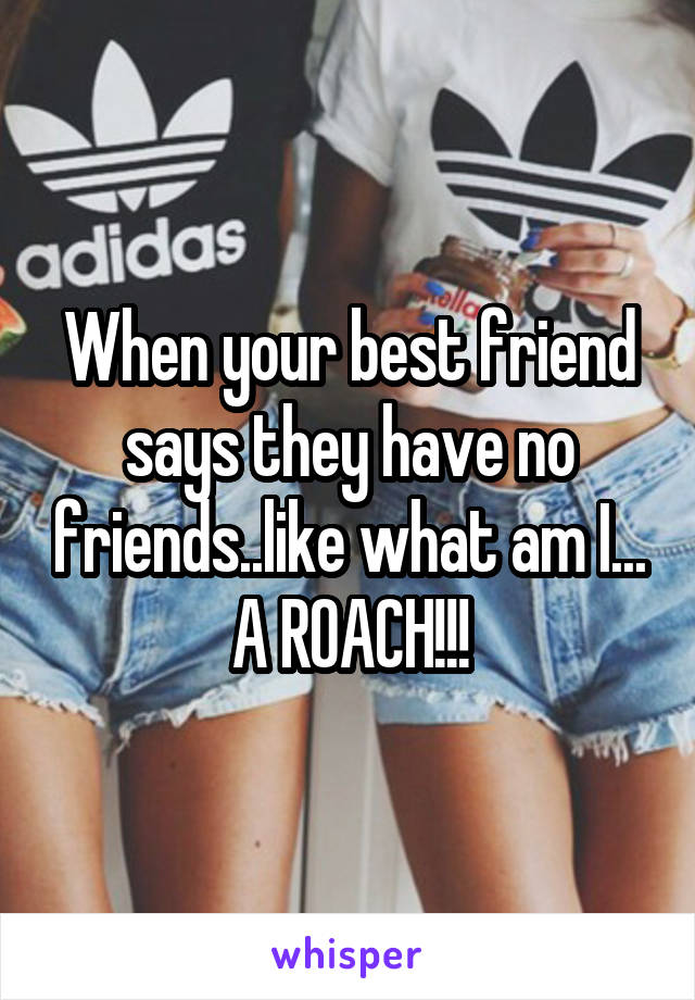 When your best friend says they have no friends..like what am I... A ROACH!!!