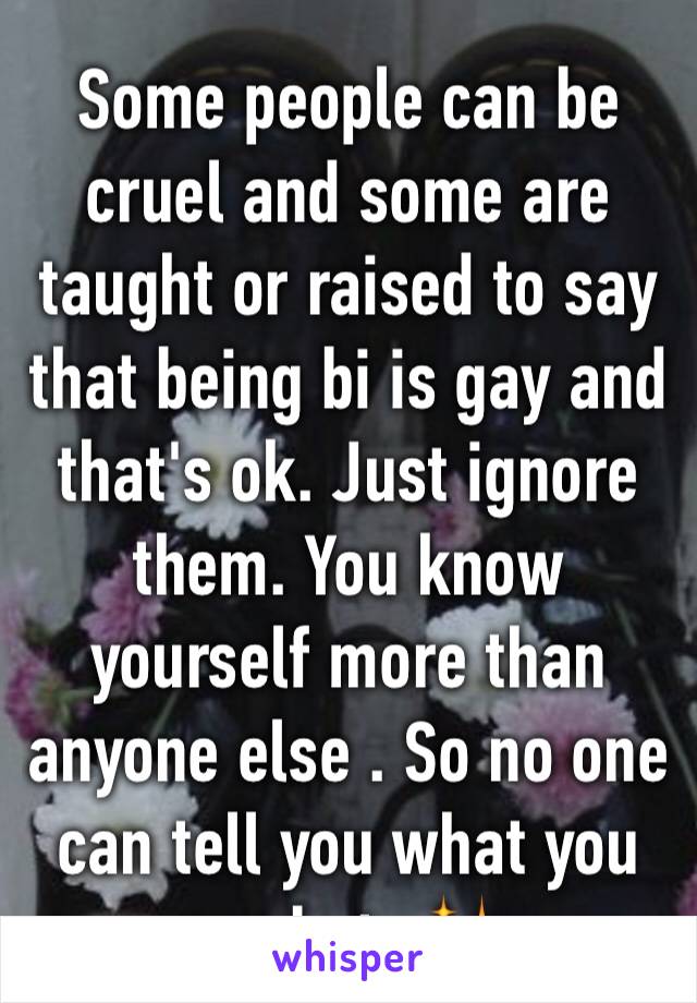 Some people can be cruel and some are taught or raised to say that being bi is gay and that's ok. Just ignore them. You know yourself more than anyone else . So no one can tell you what you are but u✨