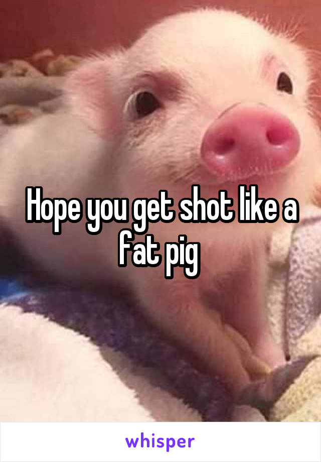 Hope you get shot like a fat pig 