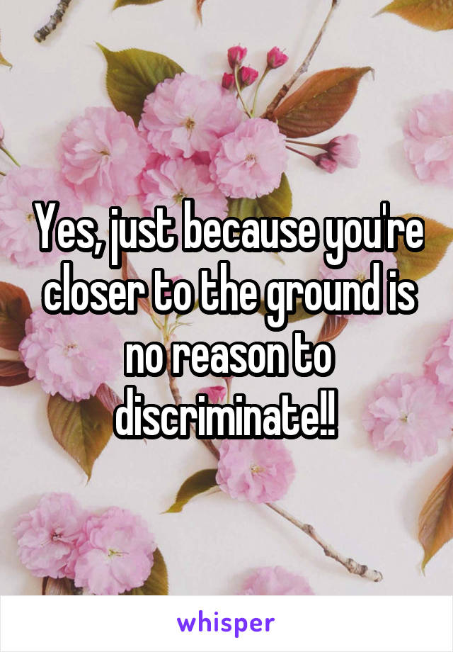 Yes, just because you're closer to the ground is no reason to discriminate!! 