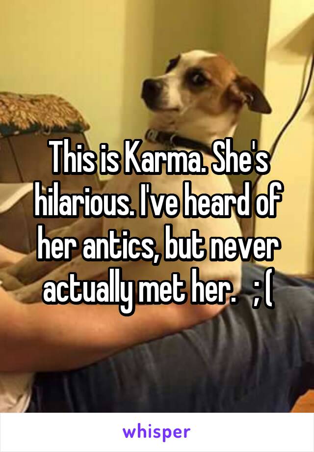 This is Karma. She's hilarious. I've heard of her antics, but never actually met her.   ; (