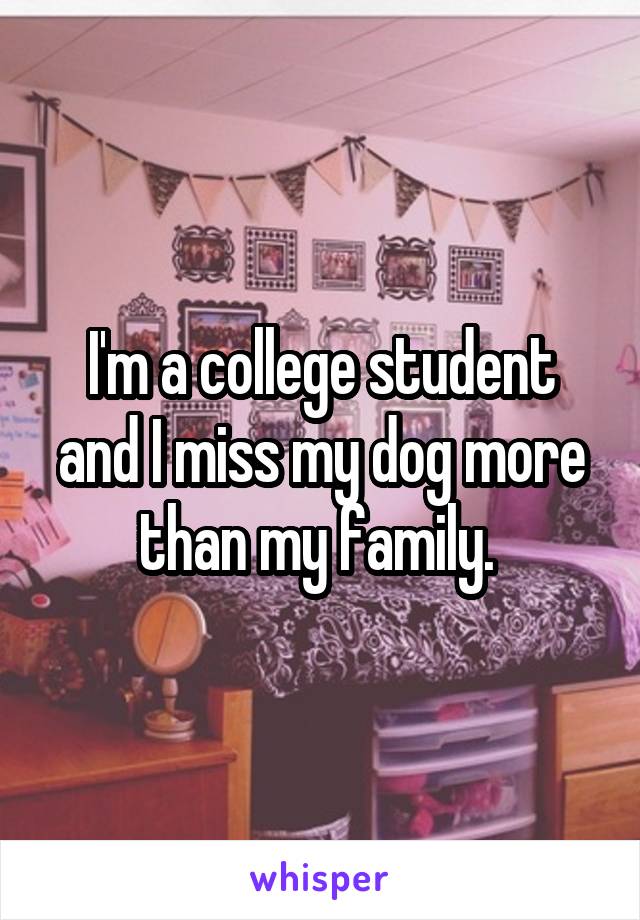 I'm a college student and I miss my dog more than my family. 